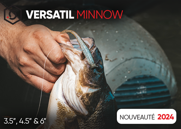 Versatil minnow 